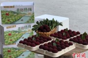 梦见洗澡高速赋能产业升级：一条“杨梅路”的致富密码