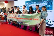 梦见洗澡中国彩绘熊猫艺术国际巡展东京站开幕