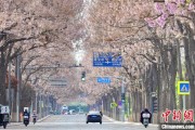 梦见洗澡共建“花园城市” 北京这场议政会“百花齐放”